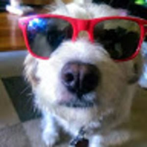 Meet your Posher, Melanie